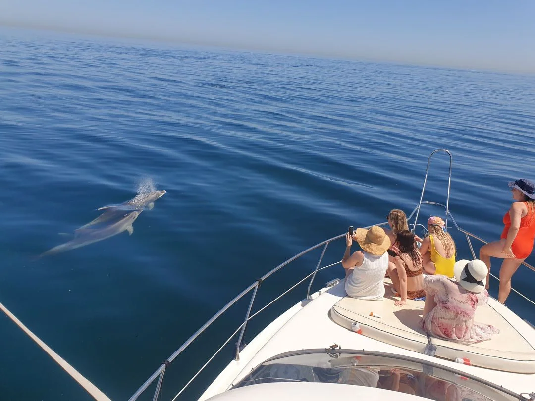 Dolphin Watching in Marbella